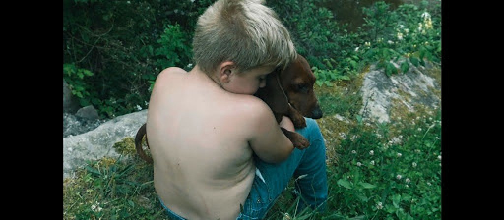actualité Rencontre avec les cinéastes Diane Sara Bouzgarrou et Thomas Jenkoe autour de leur film THE LAST HILLBILLY dimanche 13 juin à 16h